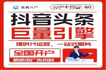 SEM运营公司经典案例点评